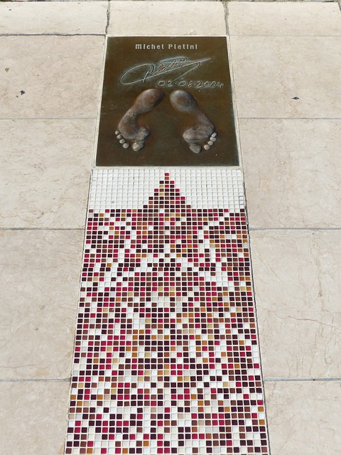 谢伊