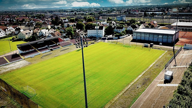 场完成数次 场完成数次