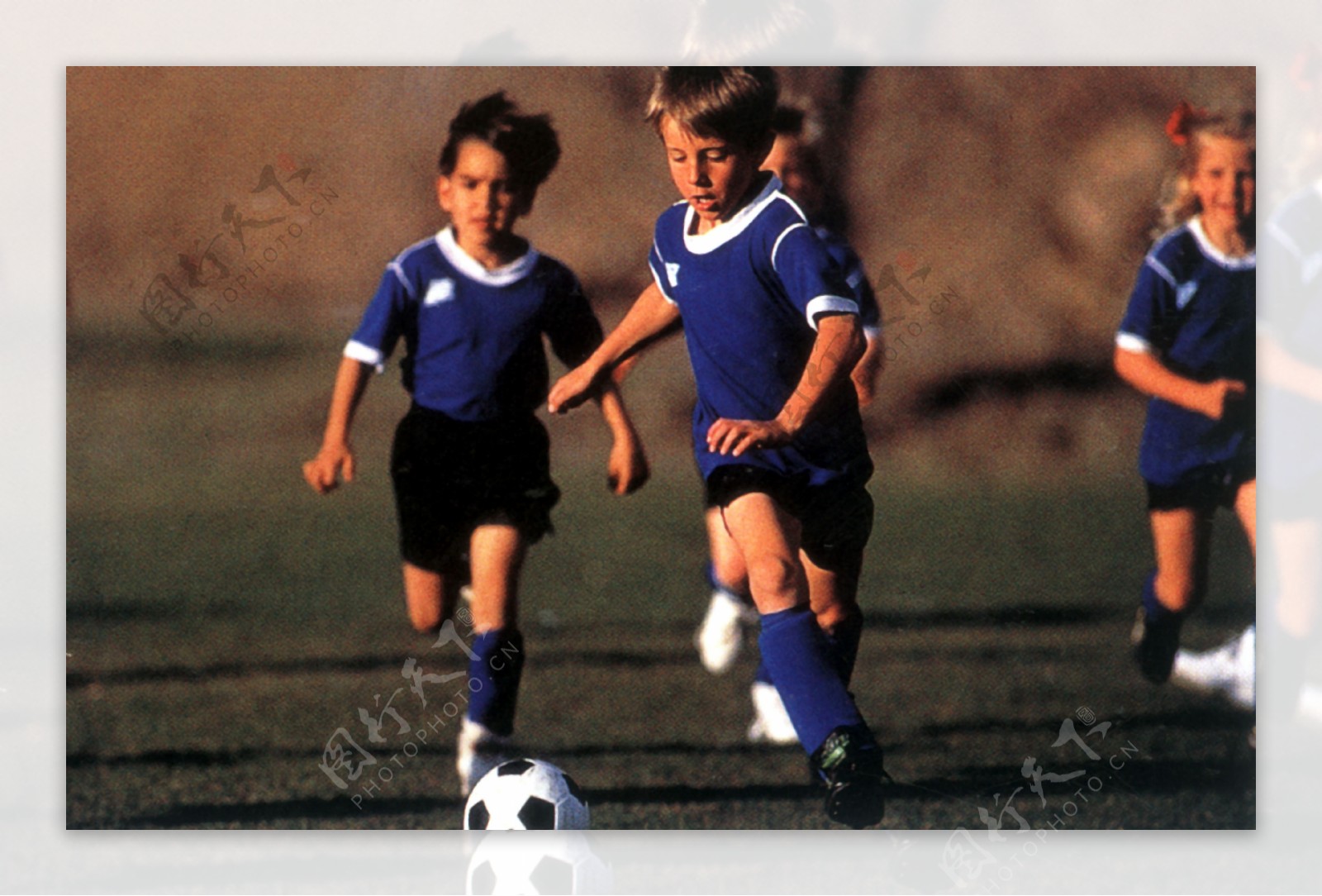 篮板嗅觉 篮板嗅觉